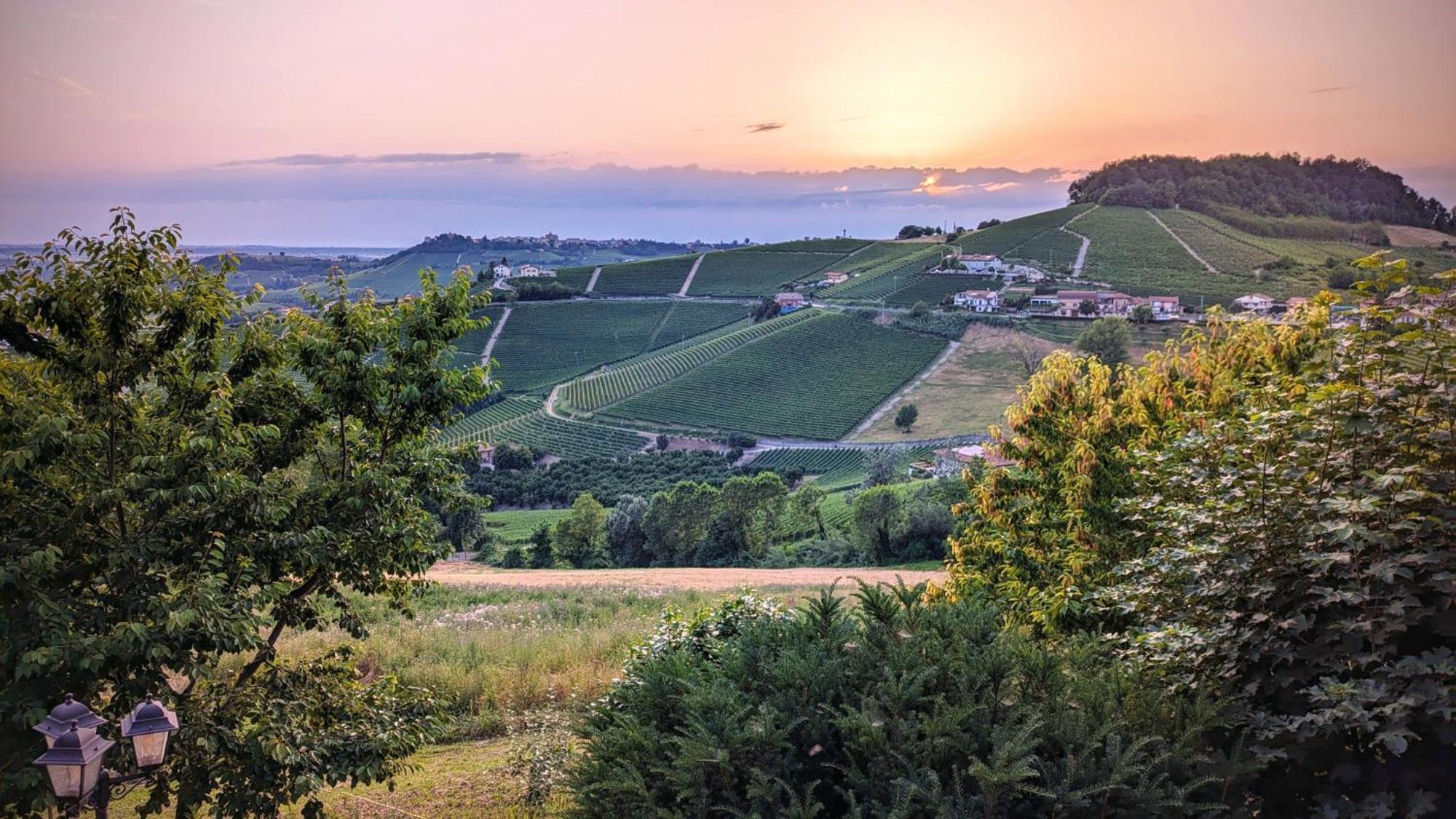 Готель Charming Barolo Wine Loft Монфорте-д'Альба Екстер'єр фото